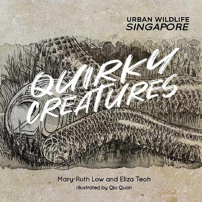 Urban Wildlife Singapore: Quirky Creatures