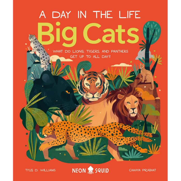 A Day in the Life Big Cats