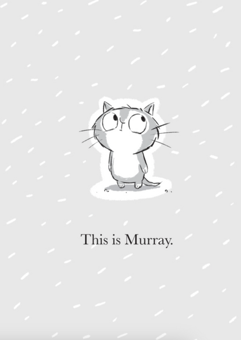 Murray and Bun: Murray the Viking