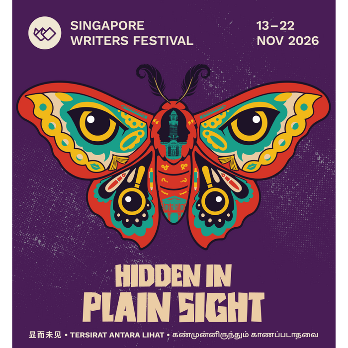 Hidden in Plain Sight - Bag of Surprise Books